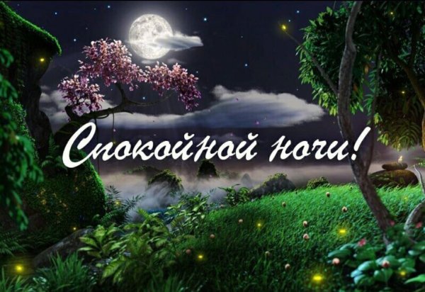 Спокойной летней ночи