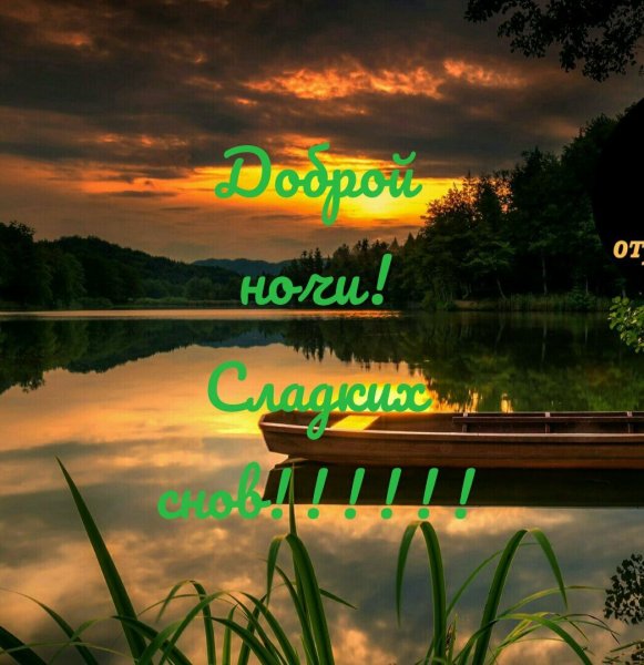 Спокойной ночи природа с надписью