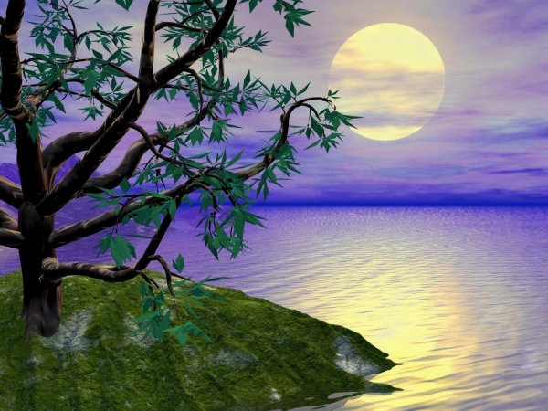 Иллюстрация к романсу островок