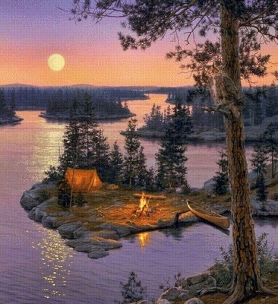 Красивая природа с лебедями