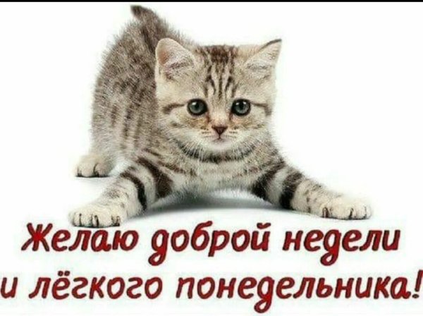 Доброго понедельника прикольные