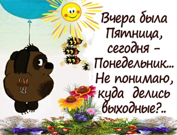 Доброе утро Сова