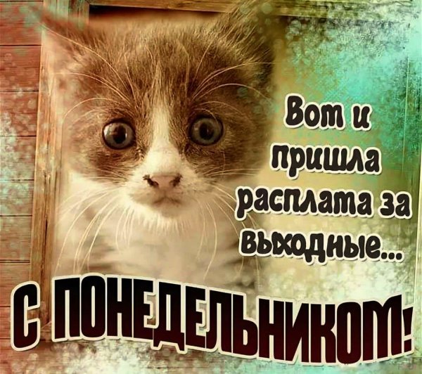 С добрым осенним утром понедельника