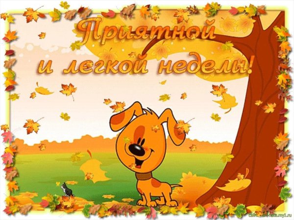 С добрым утром понедельника