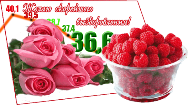 Выздоравливай скорее