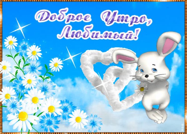 Доброе утро Зайка