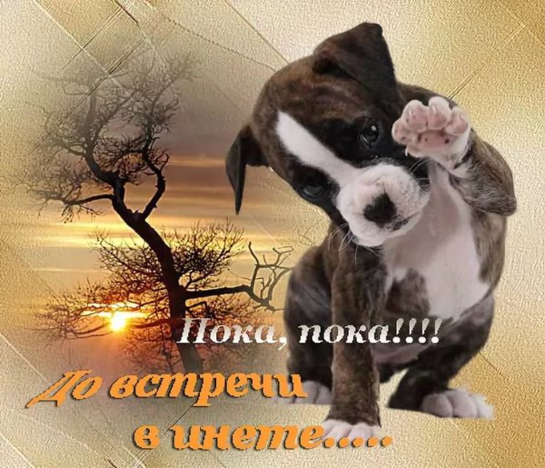 Открытка пока до встречи