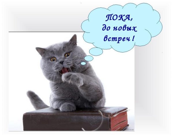 Пока до свидания