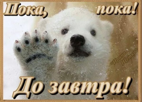 Открытки до завтра