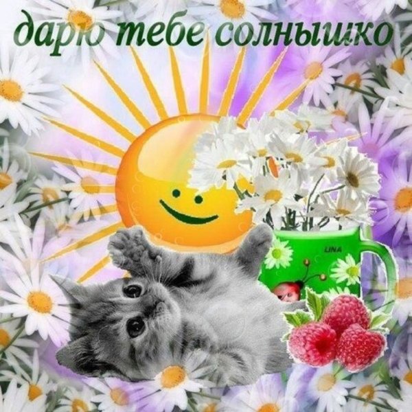 Ты солнышко