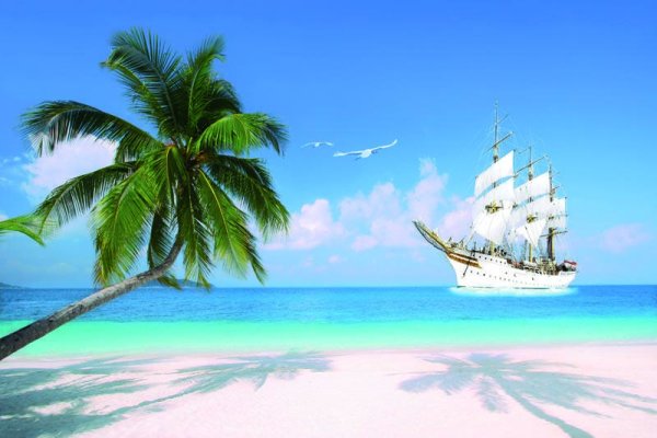 Море пальмы парусник