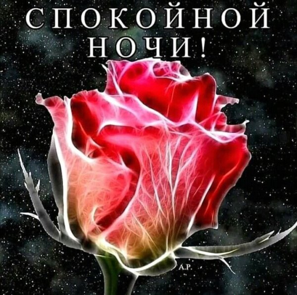 Цветы с пожеланием спокойной ночи