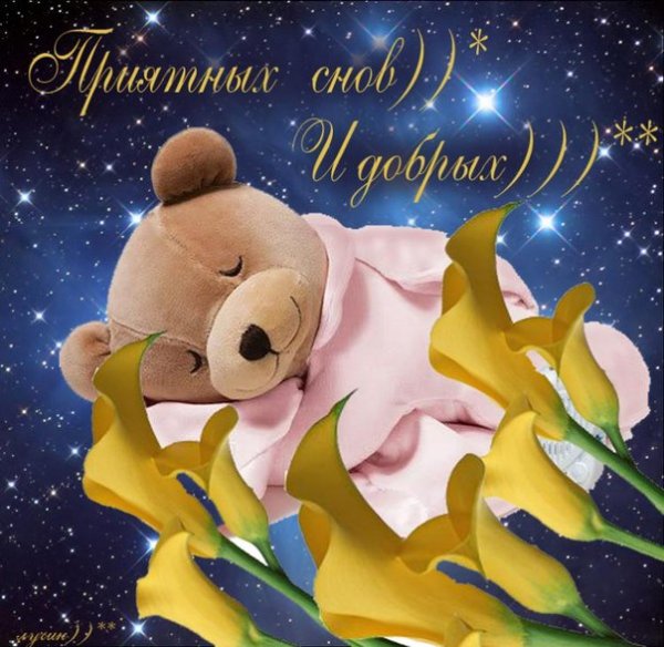 Спокойной ночи