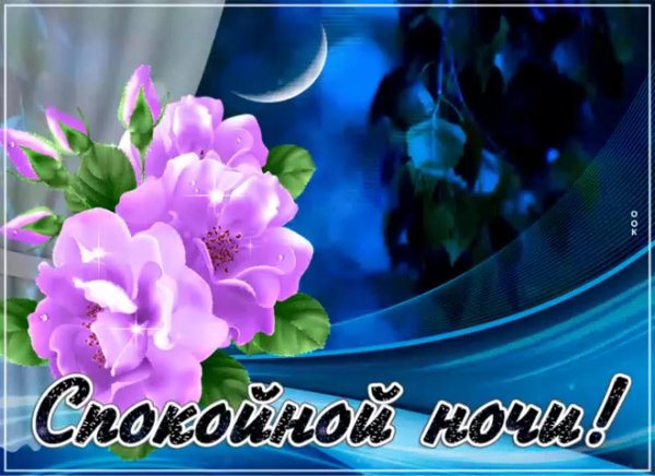 Пожелания спокойной ночи