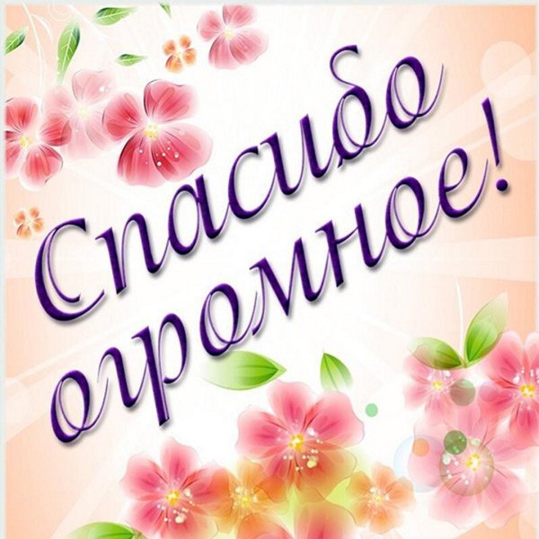 Спасибо цветы