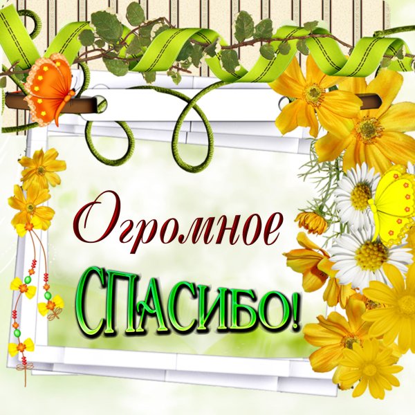 Слово спасибо