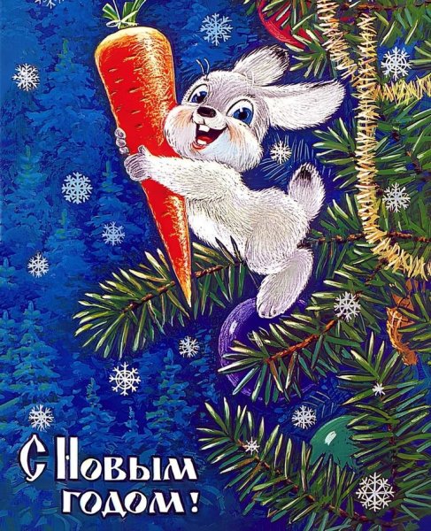 Художник-иллюстратор Анна Петунова