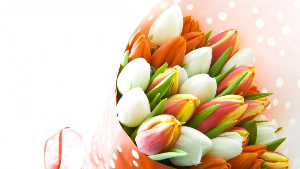 С наступающим 8 марта цветы