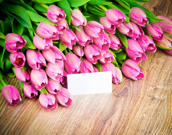 Весенние тюльпаны