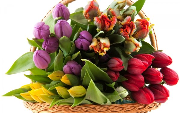 С восьмым марта поздравление