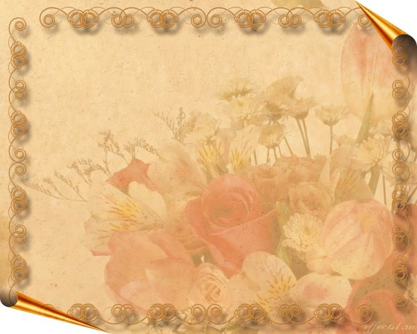 Красивые подложки для открыток