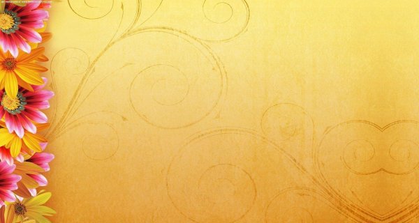 Красивый фон для поздравительной открытки