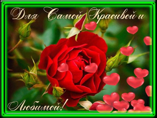 Самой дорогой девушке