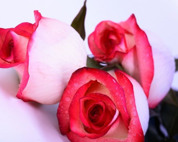 Самой любимой женщине на свете