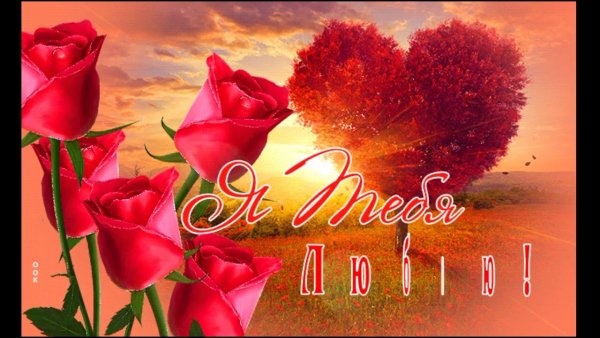 Я тебя люблю цветы