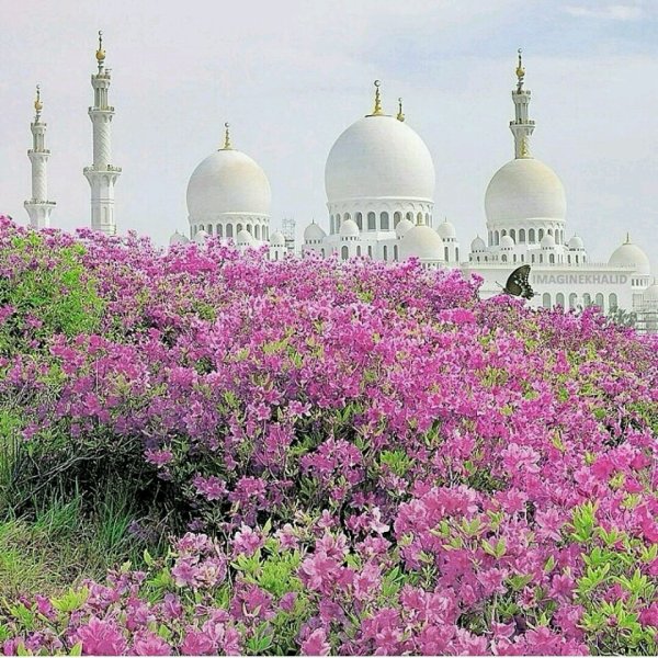 Рай Фирдаус Джаннат