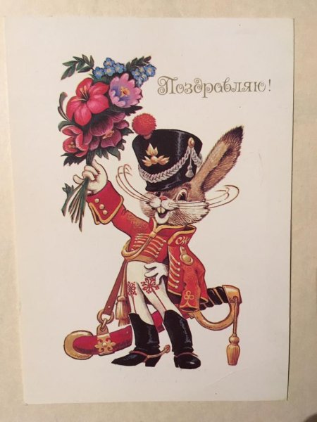 Четвериков заяц Гусар