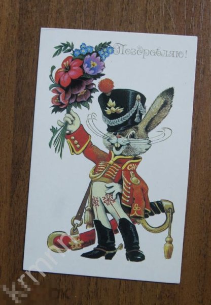 Четвериков заяц Гусар