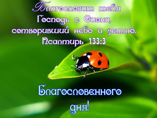 Доброе утро благословенного дня