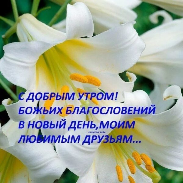 Благословенная суббота