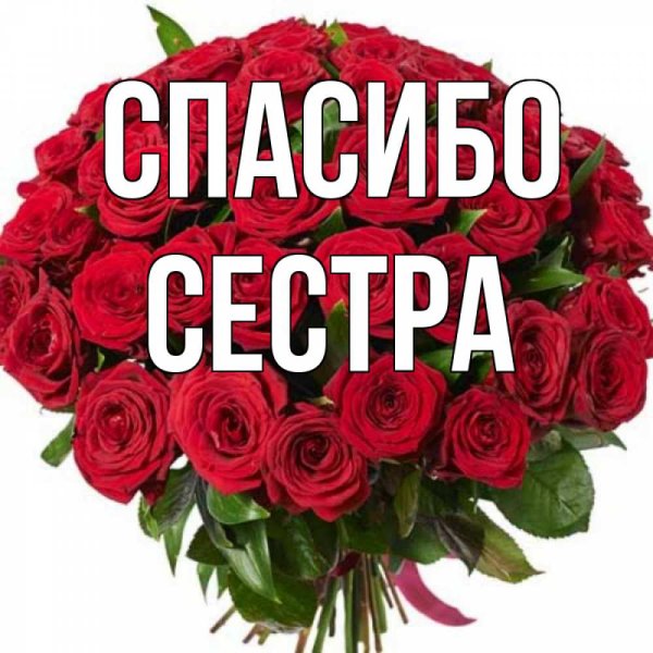 Спасибо сестренка