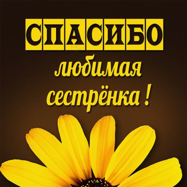 Спасибо за подарок