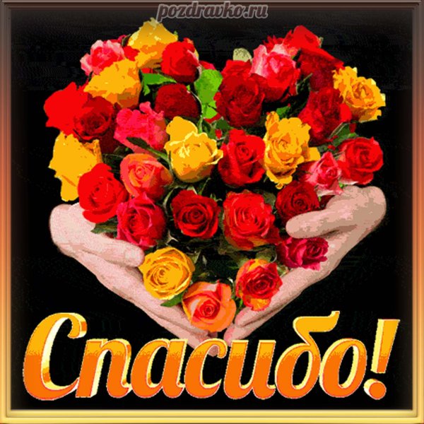 Спасибо за поздравления