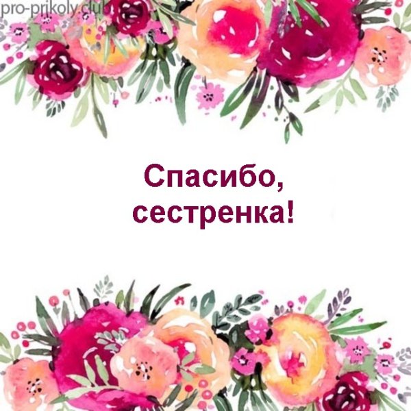 Спасибо сестренка