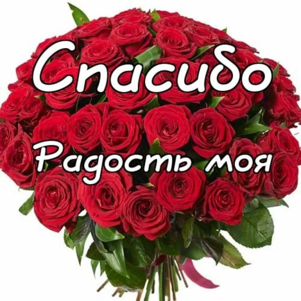 Огромное спасибо розы