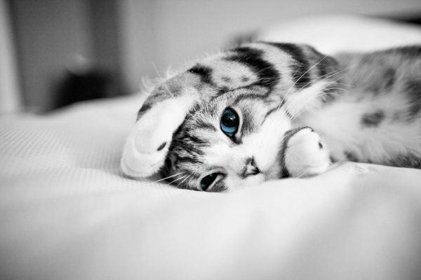 Спокойной ночи любимому