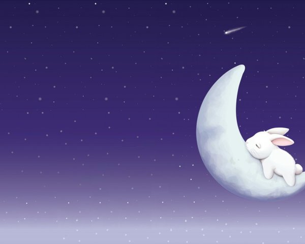 Спокойной ночи сладких снов