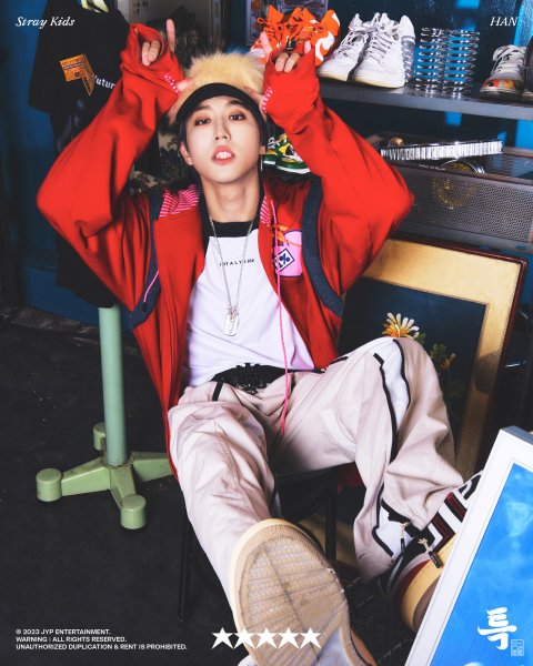 Логотип корейской группы Stray Kids