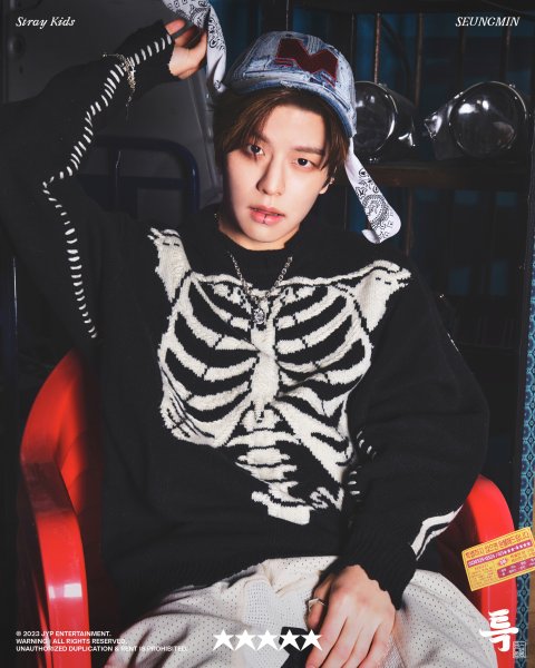 Stray Kids плакаты в хорошем качестве