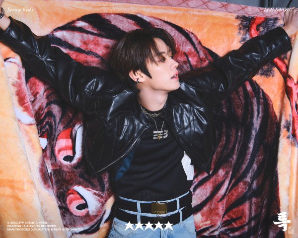 Stray Kids с днем рождения