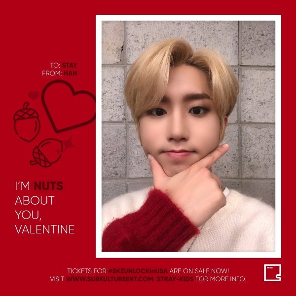 Felix Lee Stray Kids телефон