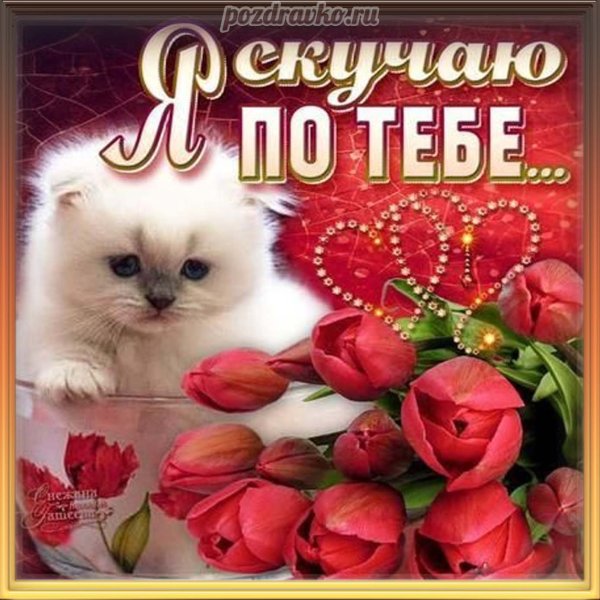 Цветы для любимой женщины