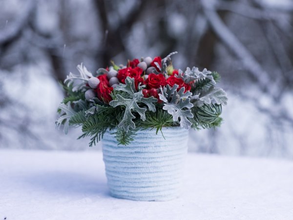 Зимний букет