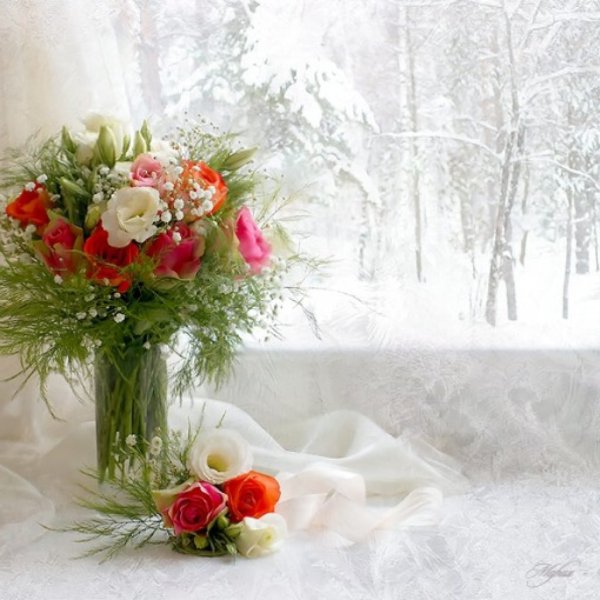 Зимняя роза