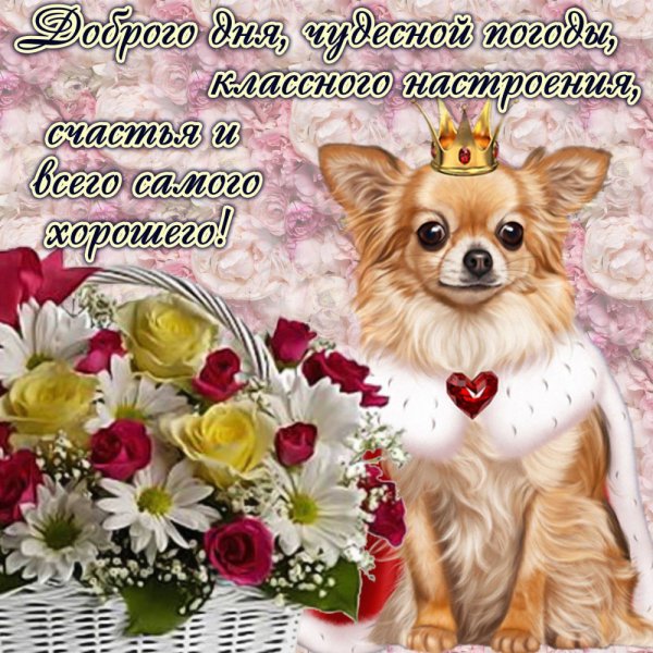 Красивые поздравления с добрым утром