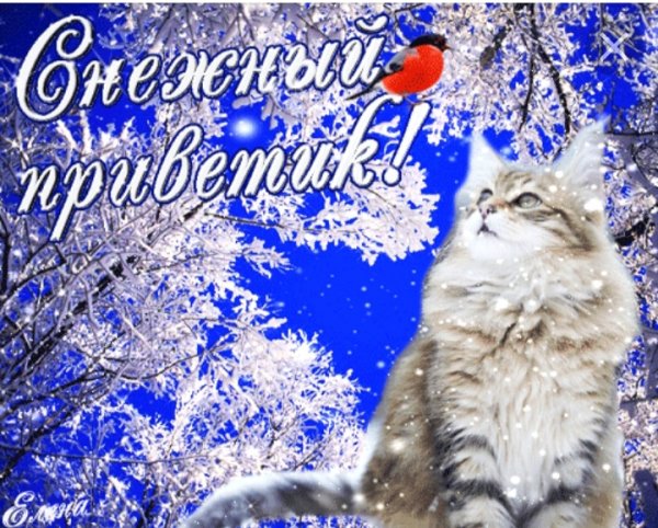 Пожелания доброго зимнего утра